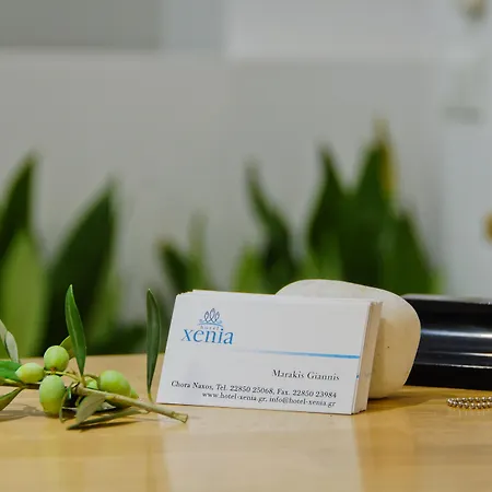Xenia Отель Naxos City