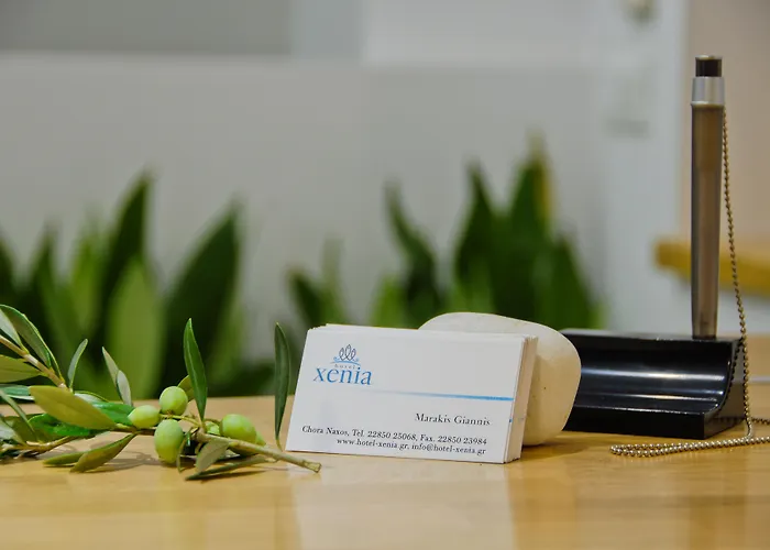 Xenia Hotel Naxos City